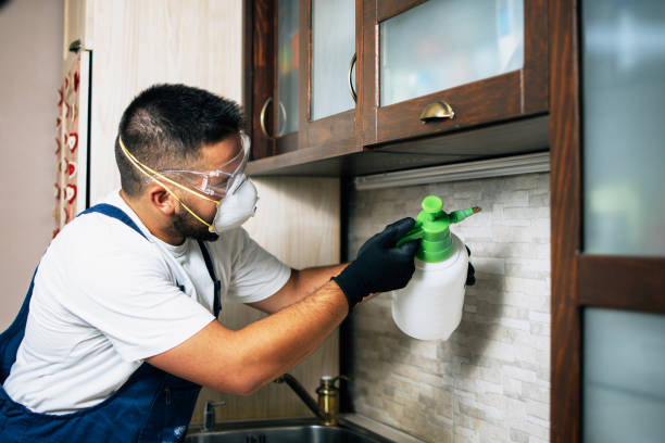Best Commercial Pest Control Services  in Dexter, GA