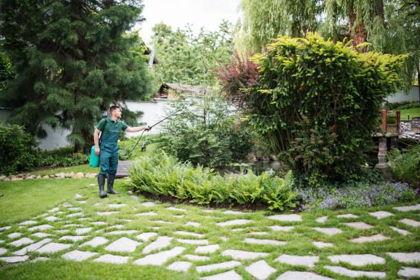 Best Ant Control Services  in Dexter, GA