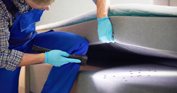 Best Emergency Pest Control  in Dexter, GA