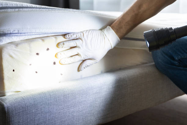 Best Pest Prevention Services  in Dexter, GA