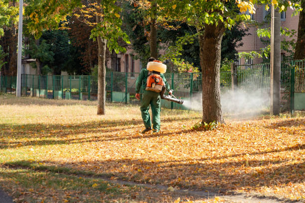 Best Bed Bug Extermination  in Dexter, GA