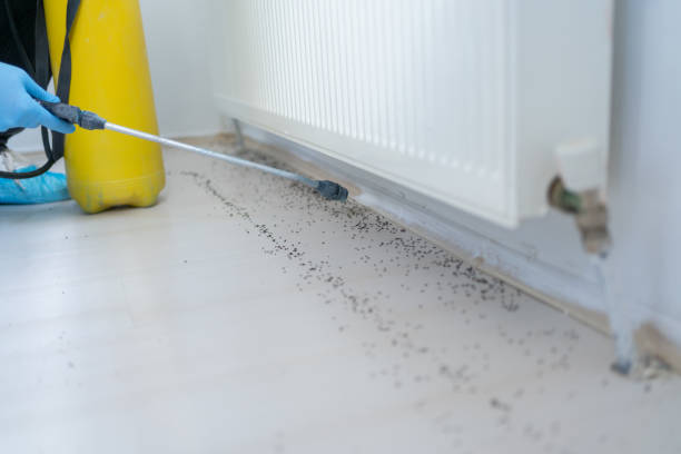 Best Pest Inspection Near Me  in Dexter, GA