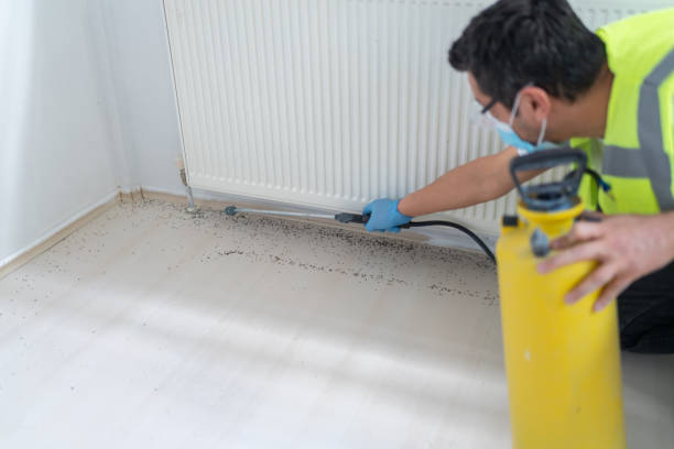 Best Pest Removal Services  in Dexter, GA