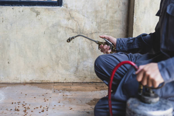 Best Wasp Removal Services  in Dexter, GA